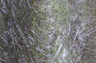 Over Green fibreglass roof work